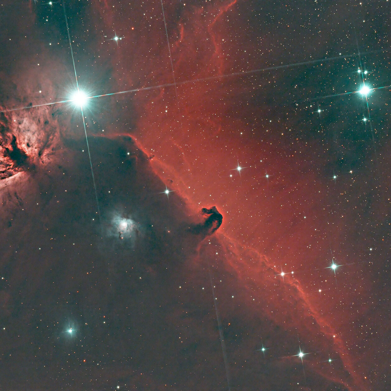 Nebulosa Testa di Cavallo Serse Cosmo