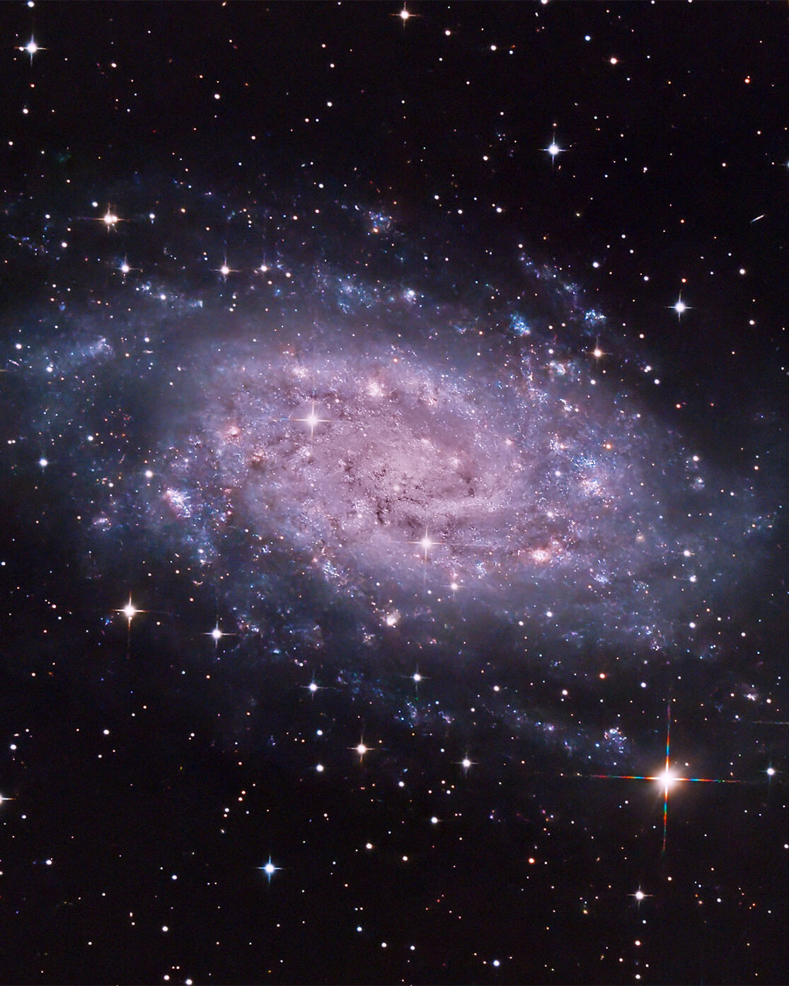NGC2403 Serse Cosmo