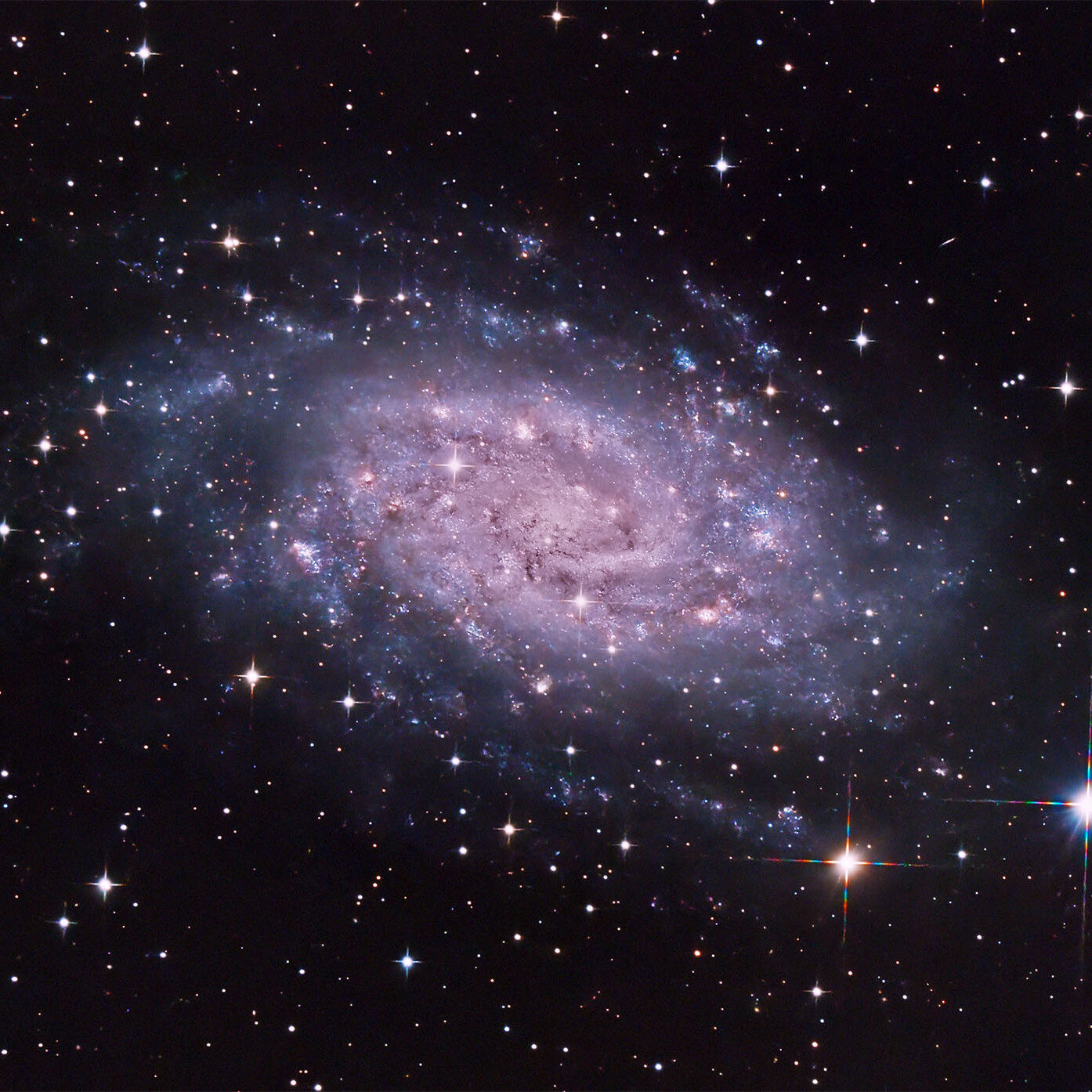 NGC2403 Serse Cosmo